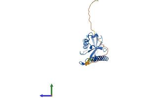 AlphaFold protein structure predicition of Human Recombinant CXorf65 Protein, UniprotID A6NEN9