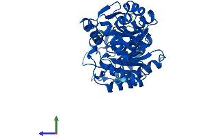 AlphaFold protein structure predicition of Human Recombinant ALAD Protein, UniprotID P13716