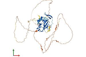 AlphaFold protein structure predicition of Mouse Recombinant Tbx22 Protein, UniprotID Q8K402