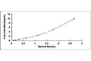 Typical standard curve (DRD4 Kit ELISA)