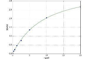 A typical standard curve