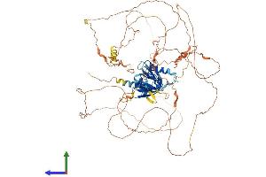 AlphaFold protein structure predicition of Mouse Recombinant Mapk8ip2 Protein, UniprotID Q9ERE9