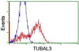 Flow Cytometry (FACS) image for anti-Tubulin, alpha-Like 3 (TUBAL3) (AA 150-446) antibody (ABIN1490958) (TUBAL3 anticorps  (AA 150-446))