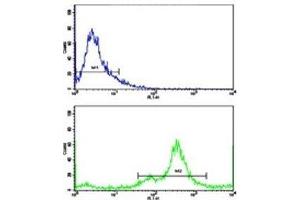 Flow cytometric analysis of MDA-231 cells using NDRG1 antibody (green) compared to a  negative control (blue).