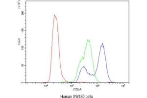 Flow cytometry testing of human SW480 cells with CA2 antibody at 1ug/10^6 cells (blocked with goat sera) (CA2 anticorps)