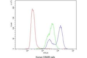 Flow cytometry testing of human SW480 cells with CA2 antibody at 1ug/10^6 cells (blocked with goat sera)