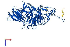 AlphaFold protein structure predicition of Human Recombinant HGD Protein, UniprotID Q93099