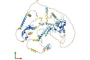 AlphaFold protein structure predicition of Human Recombinant MCM10 Protein, UniprotID Q7L590