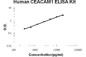Human CEACAM1 PicoKine ELISA Kit standard curve (CEACAM1 Kit ELISA)