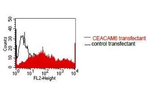 FACS analysis of BOSC23 cells using 9A6.