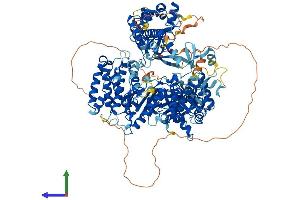 AlphaFold protein structure predicition of Human Recombinant TERT Protein, UniprotID O14746