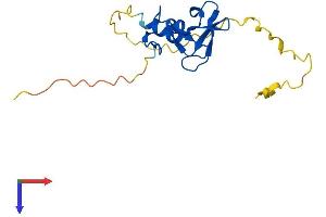 AlphaFold protein structure predicition of Mouse Recombinant Rnf224 Protein, UniprotID Q3UIW8