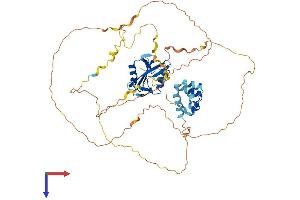 AlphaFold protein structure predicition of Mouse Recombinant Lcp2 Protein, UniprotID Q60787