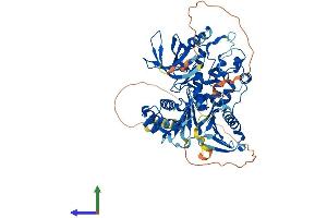 AlphaFold protein structure predicition of Mouse Recombinant Plk3 Protein, UniprotID Q60806