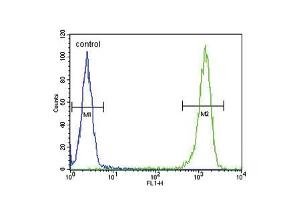 Flow cytometric analysis of WiDr cells (right histogram) compared to a negative control cell (left histogram). (MC5 Receptor anticorps  (C-Term))