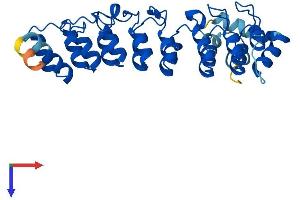 AlphaFold protein structure predicition of Mouse Recombinant Asb7 Protein, UniprotID Q91ZU0