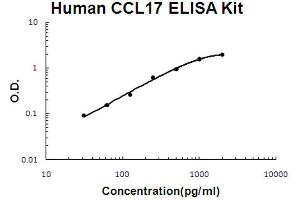 Human CCL17/TARC Accusignal ELISA Kit Human CCL17/TARC AccuSignal ELISA Kit standard curve. (CCL17 Kit ELISA)