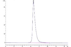 The purity of Human IL-2 R gamma is greater than 95 % as determined by SEC-HPLC.