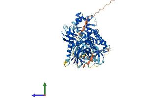AlphaFold protein structure predicition of Mouse Recombinant Hspa12b Protein, UniprotID Q9CZJ2