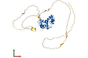 AlphaFold protein structure predicition of Human Recombinant PAX9 Protein, UniprotID P55771