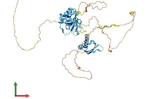 AlphaFold protein structure predicition of Human Recombinant HNRNPK Protein, UniprotID P61978
