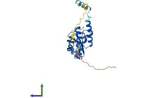 AlphaFold protein structure predicition of Human Recombinant UTP23 Protein, UniprotID Q9BRU9