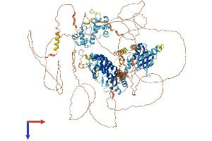 AlphaFold protein structure predicition of Mouse Recombinant Anks1b Protein, UniprotID Q8BIZ1