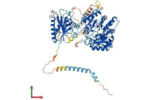 AlphaFold protein structure predicition of Mouse Recombinant Tyw1 Protein, UniprotID Q8BJM7