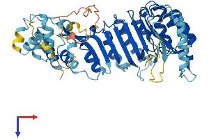 AlphaFold protein structure predicition of Human Recombinant PRAMEF27 Protein, UniprotID A3QJZ7