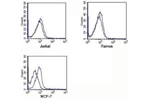FACS testing of Rabbit IgG isotype control antibody on human samples. (Lapin IgG isotype control (APC))