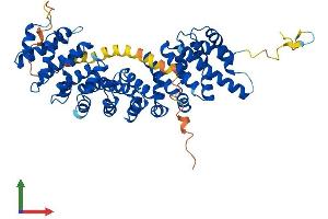 AlphaFold protein structure predicition of Human Recombinant KPNA1 Protein, UniprotID P52294