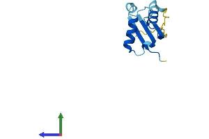 AlphaFold protein structure predicition of Human Recombinant BOLA3 Protein, UniprotID Q53S33