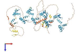 AlphaFold protein structure predicition of Human Recombinant ZNF226 Protein, UniprotID Q9NYT6