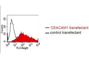 FACS analysis of BOSC23 cells using G5.