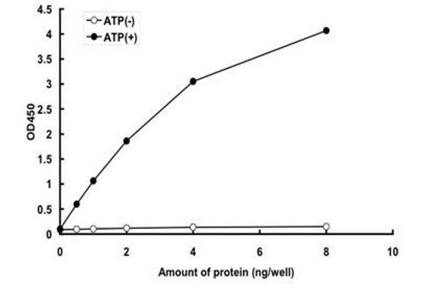 MAP3K9 Protein (AA 110-422) (GST tag)