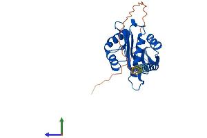 AlphaFold protein structure predicition of Mouse Recombinant Naa10 Protein, UniprotID Q9QY36