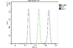 Flow Cytometry analysis of HL-60 cells using anti-MDH1 antibody (ABIN7602039). (MDH1 anticorps  (AA 56-334))