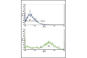 Flow cytometric analysis of NCI- cells using MVP Antibody (C-term)(bottom histogram) compared to a negative control cell (top histogram).