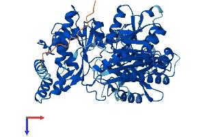 AlphaFold protein structure predicition of Mouse Recombinant Pgm2 Protein, UniprotID Q7TSV4
