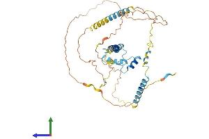 AlphaFold protein structure predicition of Human Recombinant NKAP Protein, UniprotID Q8N5F7