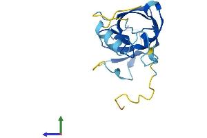 AlphaFold protein structure predicition of Human Recombinant ERVK-19 Protein, UniprotID P63120