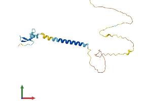 AlphaFold protein structure predicition of Mouse Recombinant Tnfrsf17 Protein, UniprotID O88472