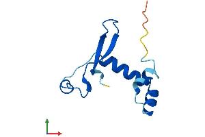 AlphaFold protein structure predicition of Mouse Recombinant Cnpy1 Protein, UniprotID Q4VAB4