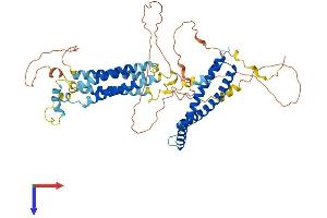 AlphaFold protein structure predicition of Human Recombinant OCLN Protein, UniprotID Q16625