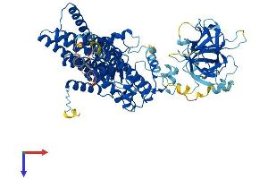 AlphaFold protein structure predicition of Human Recombinant POMT1 Protein, UniprotID Q9Y6A1