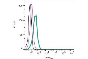 Cell surface detection of Neuropeptide S Receptor by direct flow cytometry in live intact human KU812 basophil cell line: + Rabbit IgG Isotype Control-FITC (ABIN7582044). (NPSR1 anticorps  (Extracellular) (FITC))