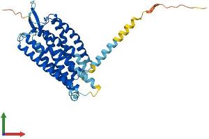 AlphaFold protein structure predicition of Mouse Recombinant Ptafr Protein, UniprotID Q62035
