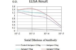 Black line: Control Antigen (100 ng),Purple line: Antigen (10 ng), Blue line: Antigen (50 ng), Red line:Antigen (100 ng) (C1QA anticorps  (AA 96-245))
