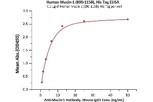 Mucin 1 (MUC1) (AA 890-1158) protein (His tag)