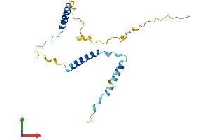 AlphaFold protein structure predicition of Human Recombinant GPSM3 Protein, UniprotID Q9Y4H4